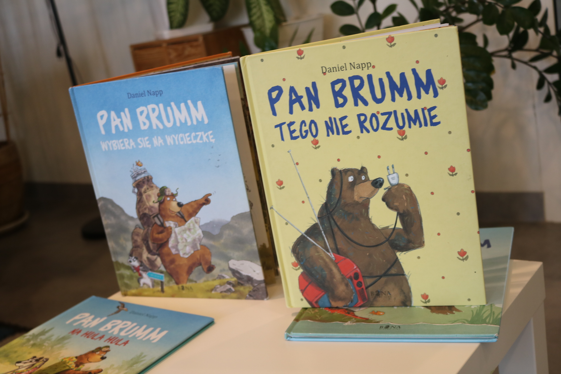 Dzień pluszowego misia i kredki 25.11.2023