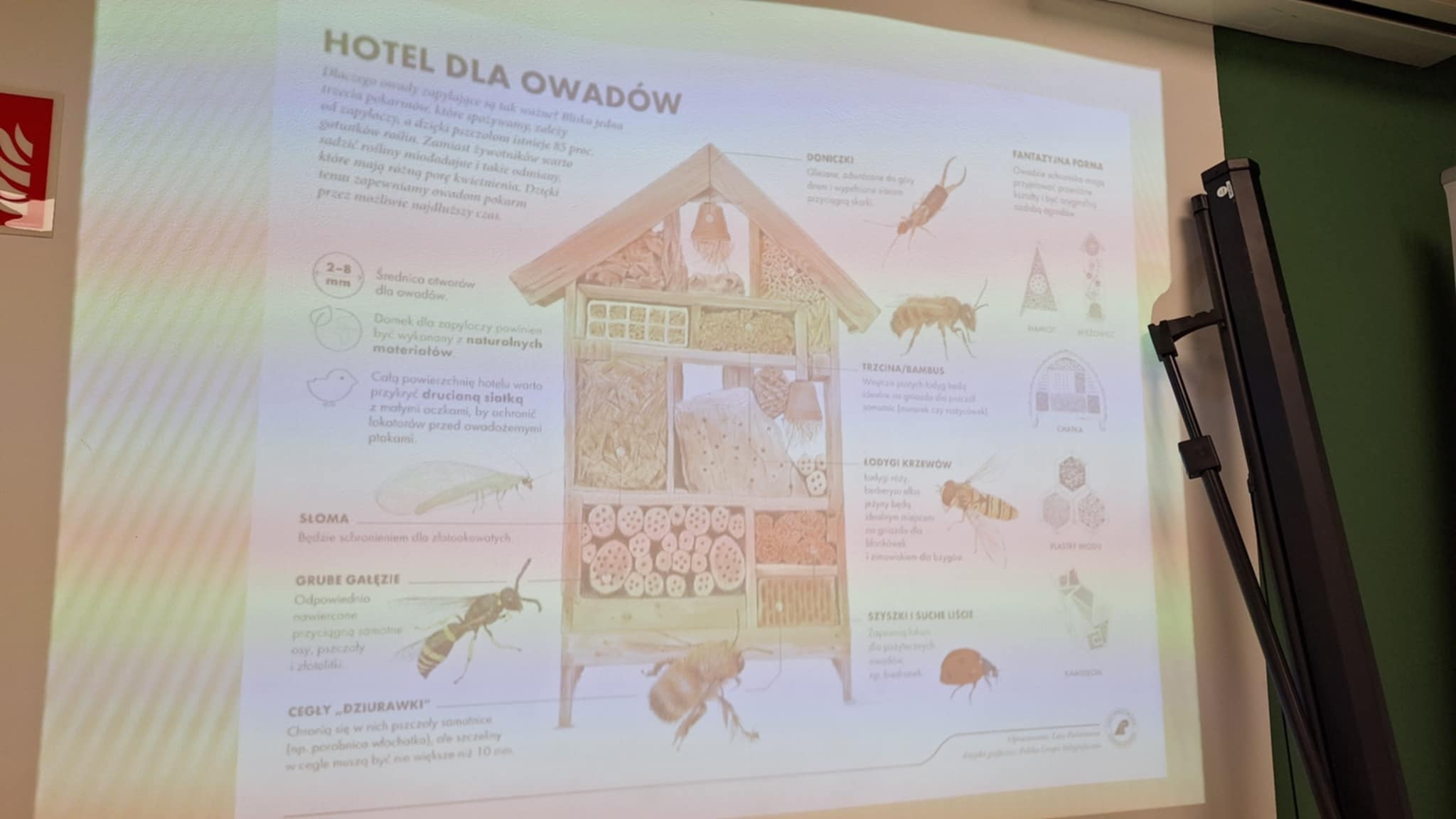 oddział przedszkolny SP1 w trakcie warsztatów