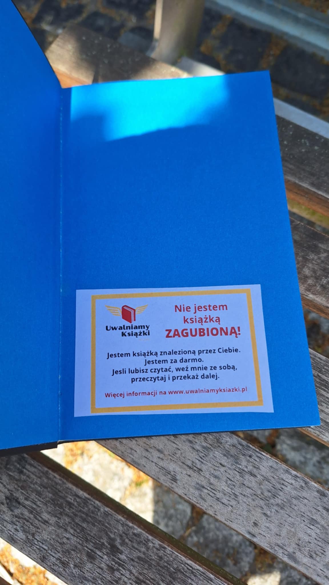 wklejka do książki z informacją o programie