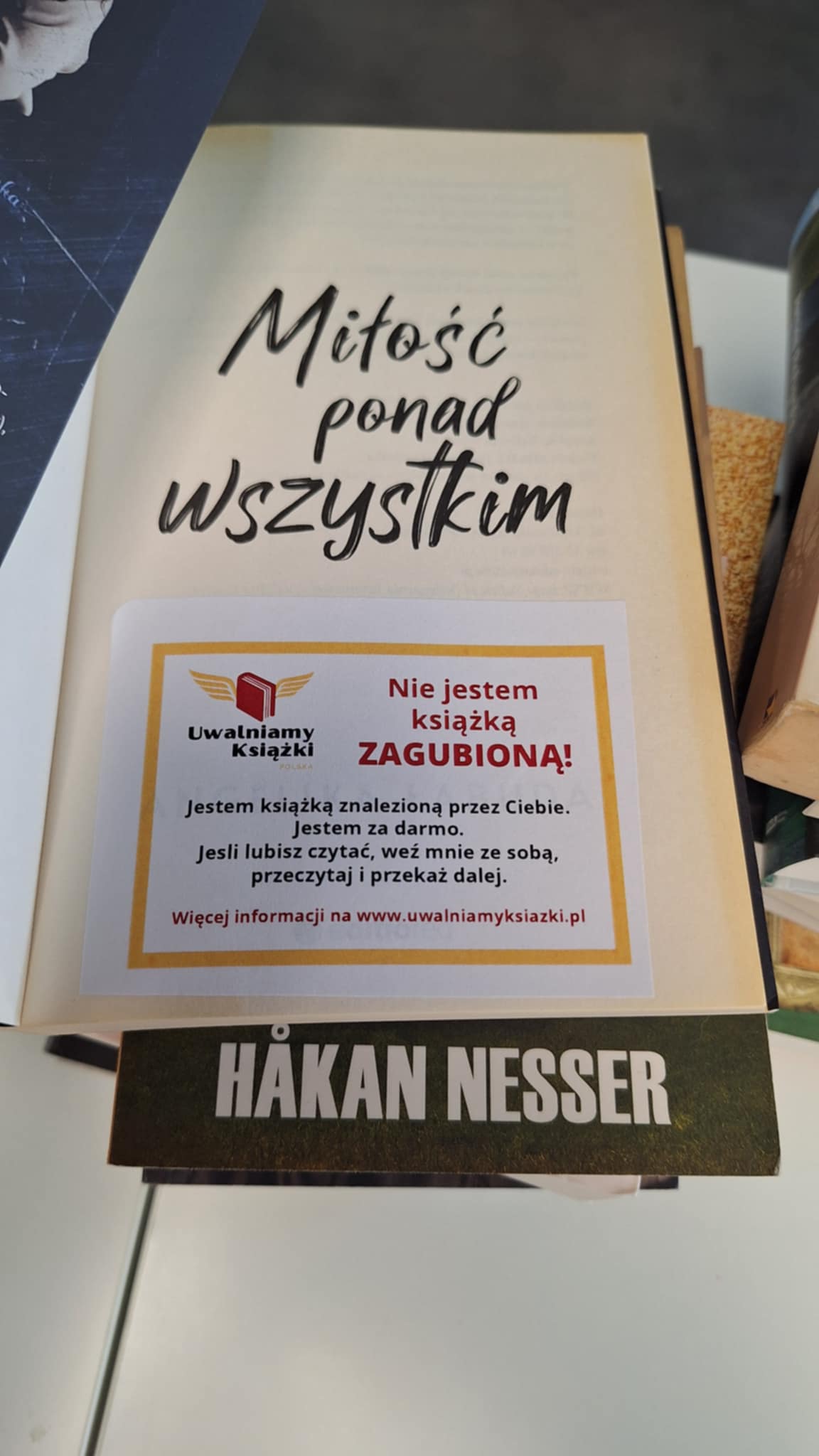 strona książki - informacja  o programie