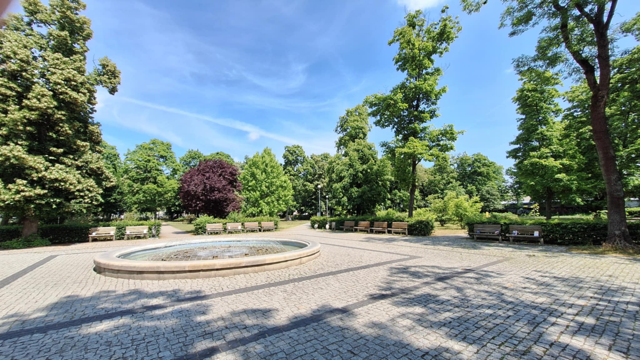 park miejski w akcji - uwalniamy książki