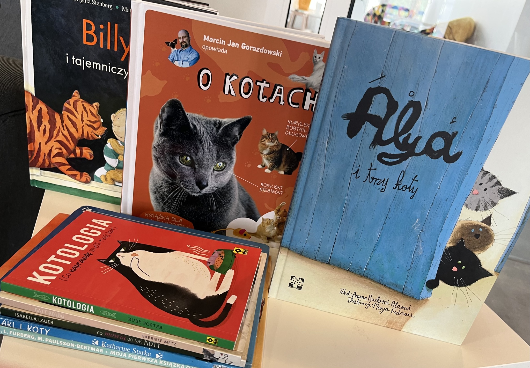 Dzień kota w bibliotece - relacja