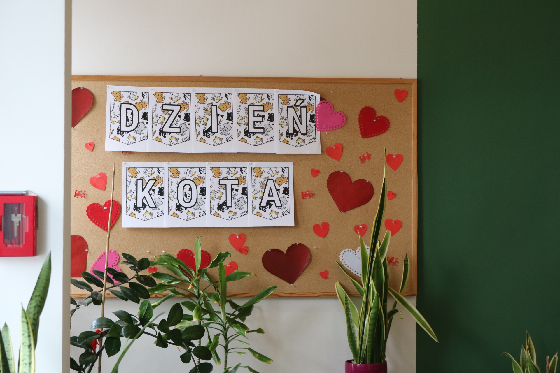 Dzień kota w bibliotece - relacja